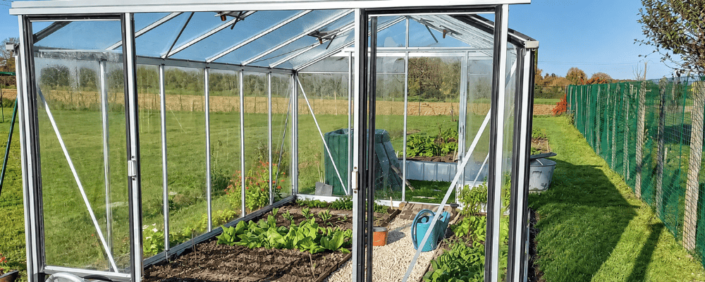 Cultures en pleine terre dans une serre de jardin LAMS avec une allée en gravier